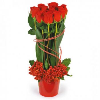 Pau blommor- Flame röda rosor sammansättning Blomma Leverans