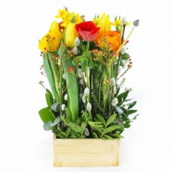flores Marsella floristeria -  Composición estacional Sunny Forest Ramos de  con entrega a domicilio