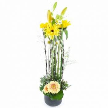 Σκέλδον λουλούδια- Σύνθεση κίτρινου ύψους Madison Λουλούδι Παράδοση