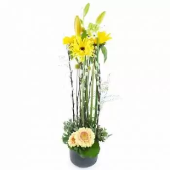 بائع زهور ستراسبورغ- تكوين ارتفاع ماديسون الأصفر باقة الزهور