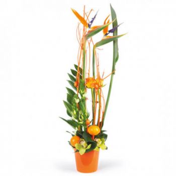 flores Marsella floristeria -  Composición exótica del paraíso Ramos de  con entrega a domicilio
