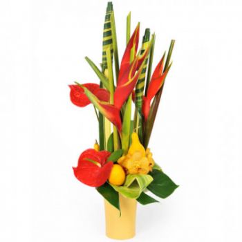 Montpellier flowers  -  Travel exotic composition Flower Delivery