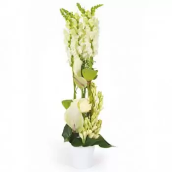 Alcay-Alcabehety-Sunharette bloemen bloemist- Witte compositie Sissi Bloem Levering