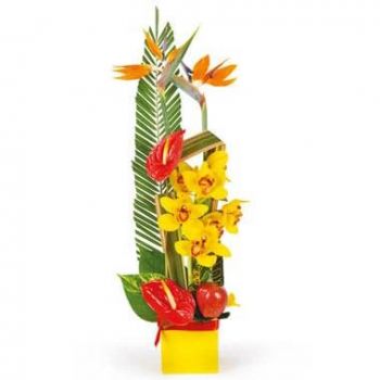 Straatsburg bloemen bloemist- Tropische exotische compositie Bloem Levering