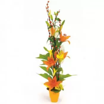 Nowa Kaledonia kwiaty- Kompozycja kwiatowa moreli Bukiet ikiebana