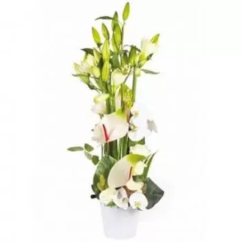 Les Moneghetti blomster- Hvid marengs blomsterarrangement Blomst Levering
