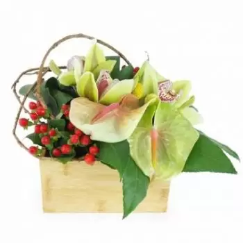Fontvielle flowers  -  Aurora Green Square Floral Arrangement Flower Delivery
