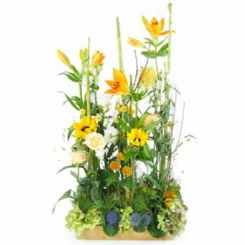 הנגנאים פרחים- סידור פרחים כתום אמרילי פרח משלוח