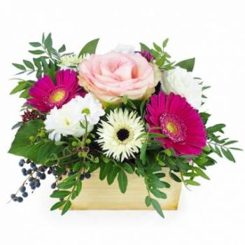 אאוגואה חנות פרחים באינטרנט - סידור פרחים פואבלה ורוד ולבן זר פרחים
