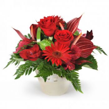 Марсилия цветя- Ярка червена флорална аранжировка Цвете Доставка