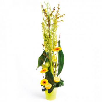 Aigues-Mortes flowers  -  Sunlight flower arrangement Delivery
