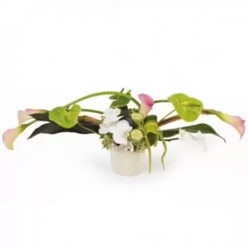 fiorista fiori di Pau- Composizione orizzontale Fan Fiore Consegna