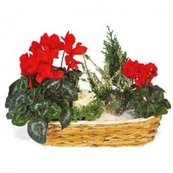Toulouse Floristeria online - Composición de plantas verdes y flores Etince Ramo de flores