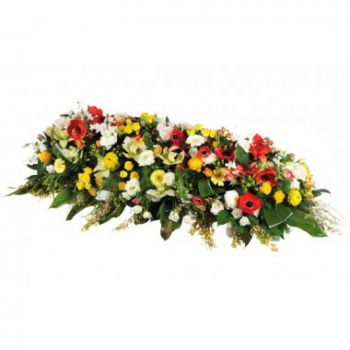 Tarbes цветя- Композиция за погребение на комета Цвете Доставка
