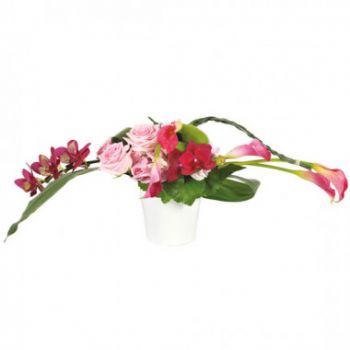 fiorista fiori di Lille- Composizione Purezza dei sensi Fiore Consegna