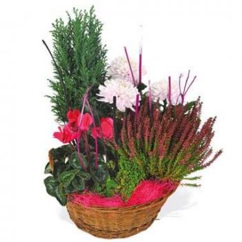 Tarbes Online kukkakauppias - Vaaleanpunainen ja punainen sävellys The Gard Kimppu