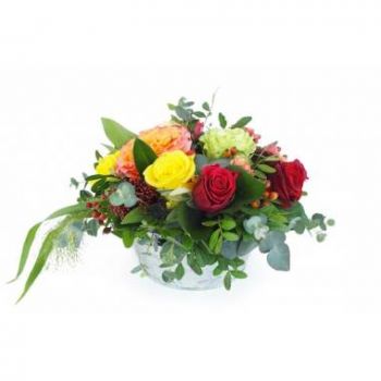 بائع زهور مرسيليا- تكوين الورود الملونة الباسو زهرة التسليم