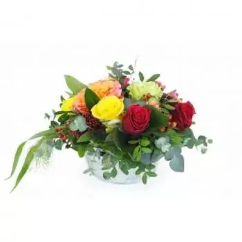 بائع زهور مارتينيك- تكوين الورود الملونة الباسو زهرة التسليم