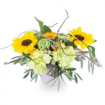 fiorista fiori di Abbeville- Composizione Girasole Follia Fiore Consegna
