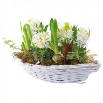 Abbeville flowers  -  Cup of white hyacinths Noce blanche Flower Bouquet/Arrangement