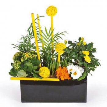 Nantes Toko bunga online - Potongan tanaman Le Jardin d'Abel Karangan bunga