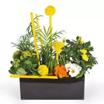 Альбестроф цветы- Срезанное растение Le Jardin d'Abel Цветок Доставка