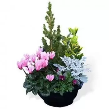 بائع زهور بوردو- قطع النباتات الخارجية زهرة التسليم