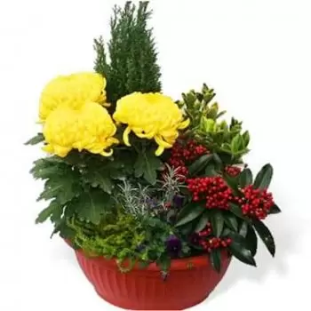 Pau bunga- Potongan tumbuhan kuning dan merah untuk tana Sejambak/gubahan bunga