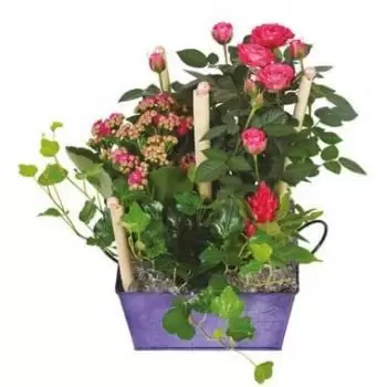 Nantes online Blomsterhandler - Kop med planter Jardin d'Italie Buket