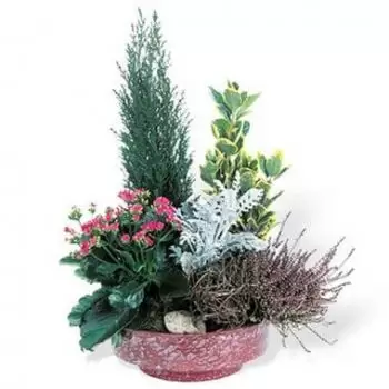 flores Córcega floristeria - Taza de plantas verdes y flores Farewell Eter