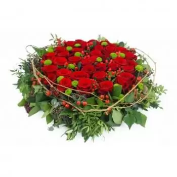 Macouria Online Blumenhändler - Kissen aus roten Rosen Eros Blumenstrauß