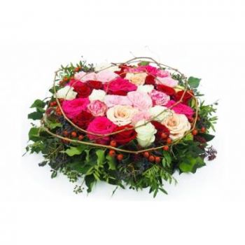 Toulouse bloemen bloemist- Kussen van rode & roze Mycene rozen Bloem Levering