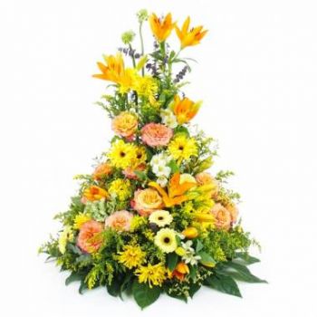 Lille blomster- Pute i høyden gul & oransje Apollon Blomst Levering