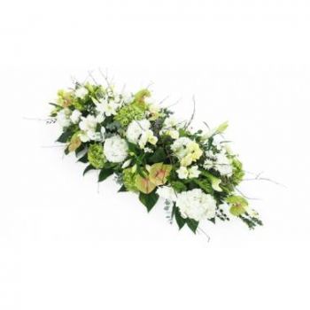 גוואדלופ חנות פרחים באינטרנט - ראש ארון מתים לבן וירוק של יוליסס זר פרחים