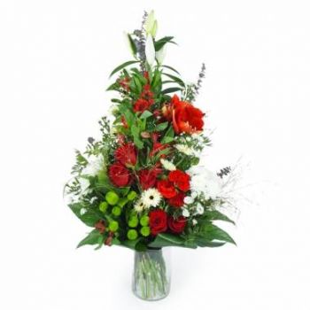 Γουαδελούπη λουλούδια- Στεφάνι στο χέρι Οβίδη Λουλούδι Παράδοση