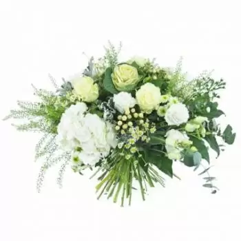 מרסיי פרחים- זר גדול של פרחי בראגה לבנים וירוקים זר פרחים/סידור פרחים