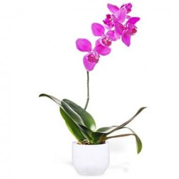 Paris online Blomsterhandler - Pink Lilla Orchid En gren Buket