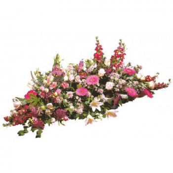 Aigues-Mortes Toko bunga online - Raket berkabung fuchsia yang damai Karangan bunga