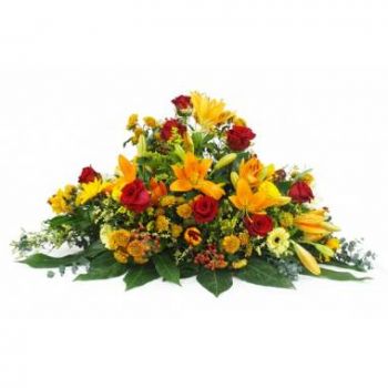 מרסיי פרחים- מחבט אבל של הליוס כתום ואדום פרח משלוח