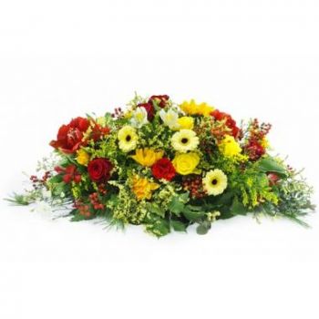 קלדוניה החדשה פרחים- מחבט פרחים צבעוני תוקידיד פרח משלוח