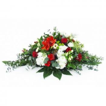 איחוד פרחים- מחבט אדום ולבן דלפי פרח משלוח