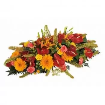 Martinique-virágok- Piros és narancssárga L'Eclipse hótalp Virág Szállítás
