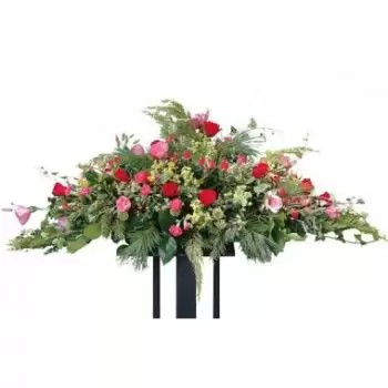 La Plaine-des-Palmistes kedai bunga online - Kasut Salji Merah & Merah Jambu Senja Sejambak